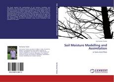 Soil Moisture Modelling and Assimilation的封面