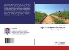 Depeasantization in Punjab kitap kapağı