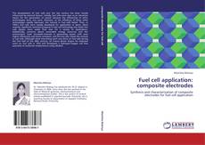 Fuel cell application: composite electrodes kitap kapağı