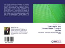 Buchcover von Somaliland and International Criminal Justice