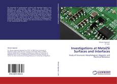 Portada del libro de Investigations at Metal/Si Surfaces and Interfaces