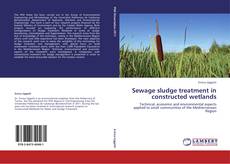 Buchcover von Sewage sludge treatment in constructed wetlands