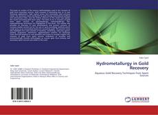 Bookcover of Hydrometallurgy in Gold Recovery