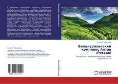 Bookcover of Белокурихинский комплекс Алтая (Россия)