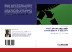 Copertina di Water and Wastewater Minimization in Tannery