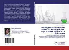 Buchcover von Мембранные липиды зеленых водорослей   в условиях дефицита фосфора