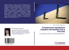 Portada del libro de Социально-правовая защита материнства в России
