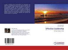 Bookcover of Effective Leadership