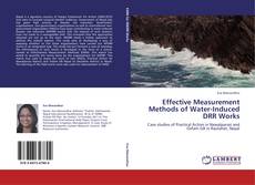 Capa do livro de Effective Measurement Methods of Water-Induced DRR Works 