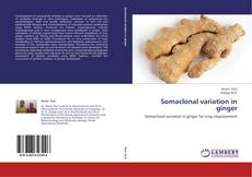 Bookcover of Somaclonal variation in ginger