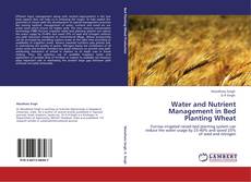 Bookcover of Water and Nutrient Management in Bed Planting Wheat