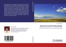Demand and Productivity kitap kapağı