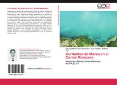 Capa do livro de Corrientes de Marea en el Caribe Mexicano 