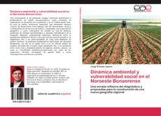 Bookcover of Dinámica ambiental y vulnerabilidad social en el Noroeste Bonaerense