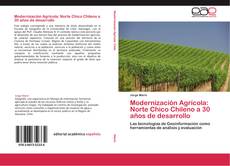 Bookcover of Modernización Agrícola: Norte Chico Chileno a 30 años de desarrollo