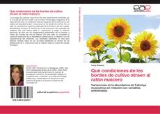 Bookcover of Qué condiciones de los bordes de cultivo atraen al ratón maicero