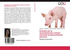 Buchcover von Estudio de la remodelación celular durante la placentación porcina