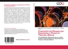 Evaluación de Riesgos por Exposición a Plomo en Tlaxcala, México kitap kapağı