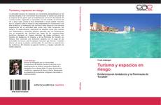 Buchcover von Turismo y espacios en riesgo