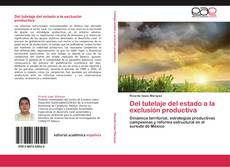 Bookcover of Del tutelaje del estado a la exclusión productiva