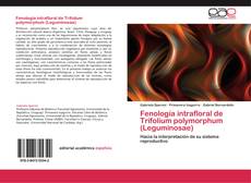 Buchcover von Fenología intrafloral de Trifolium polymorphum (Leguminosae)