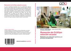 Buchcover von Remoción de Cr(VI)en solución acuosa