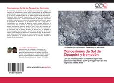 Copertina di Concesiones de Sal de Zipaquirá y Nemocón