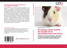 Bookcover of El cobayo como modelo de estudio de la gametogénesis masculina