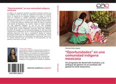 “Oportunidades” en una comunidad indígena mexicana kitap kapağı