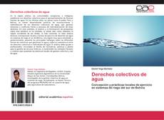 Buchcover von Derechos colectivos de agua