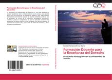 Copertina di Formación Docente para la Enseñanza del Derecho