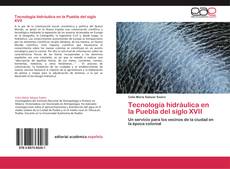 Tecnología hidráulica en la Puebla del siglo XVII kitap kapağı