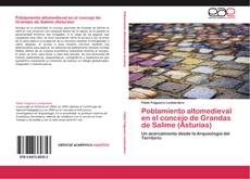 Buchcover von Poblamiento altomedieval en el concejo de Grandas de Salime (Asturias)
