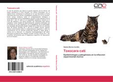 Copertina di Toxocara cati