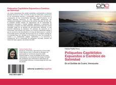 Buchcover von Poliquetos Capitélidos Expuestos a Cambios de Salinidad