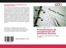 Procedimiento de recuperación del préstamo forzoso kitap kapağı