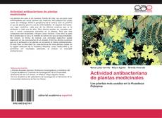 Actividad antibacteriana de plantas medicinales kitap kapağı