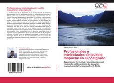 Portada del libro de Profesionales e intelectuales del pueblo mapuche en el postgrado
