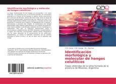 Bookcover of Identificación morfológica y molecular de hongos celulíticos