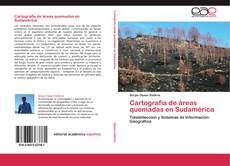 Portada del libro de Cartografía de áreas quemadas en Sudamérica