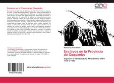 Esclavos en la Provincia de Coquimbo kitap kapağı