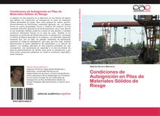 Portada del libro de Condiciones de Autoignición en Pilas de Materiales Sólidos de Riesgo