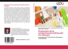 Bookcover of Evaluación de la contaminación hídrica del río Jillusaya