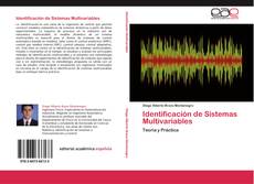 Copertina di Identificación de Sistemas Multivariables