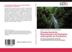 Bookcover of Comportamiento Reproductivo de Didelphis marsupialis en Cautiverio.