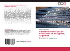 Varamientos masivos de calderones en Patagonia, Argentina kitap kapağı