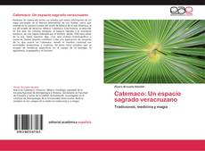 Bookcover of Catemaco: Un espacio sagrado veracruzano