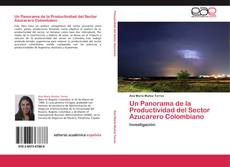 Un Panorama de la Productividad del Sector Azucarero Colombiano kitap kapağı