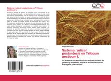 Обложка Sistema radical postantesis en Triticum aestivum L