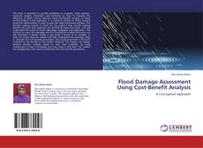 Bookcover of Flood Damage Assessment Using Cost-Benefit Analysis